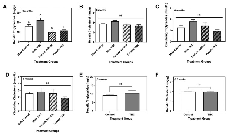 The effects of gestational Δ9-tetrahydrocannabinol (Δ9-THC) on triglyceride and cholesterol levels in the liver and plasma of exposed offspring at three weeks and six months of age. At six months of age, hepatic triglycerides (A) and cholesterol (B) were assessed in both male and female offspring (mg of lipid/g of tissue), along with circulating levels of triglycerides (C) and cholesterol (D; mmol/L). Hepatic triglycerides (E) and cholesterol (F) were also quantified in three-week old male offspring. Data are expressed as the mean ± SEM. The effects of Δ9-THC in three-week old male offspring were determined via Student’s two-tailed unpaired t-test, while six-month old offspring results were analyzed using a two-way ANOVA followed by a Holm-Sidak-corrected multiple comparisons test. Groups labelled with different letters are significantly different from each other (p < 0.05), while groups labelled ‘ns’ were non-significant from each other.