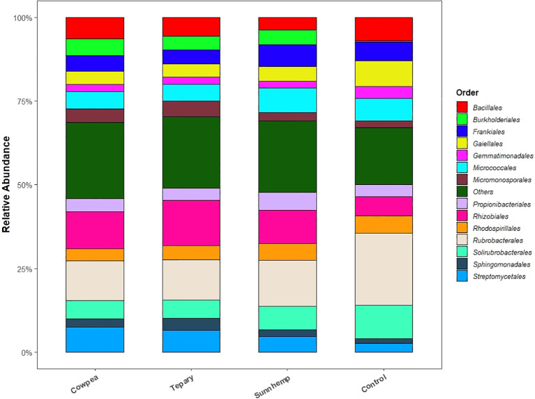 Stacked bar chart showing relative abundance of bacterial orders in four groups: cowpea, tepary, sunnhemp, and control. Each colored segment represents a different bacterial order per the legend. Relative abundance is shown on the y-axis from zero to one hundred percent. The legend lists the orders associated with each color, including Bacillales, Burkholderiales, Frankiales, Micrococcales, Rubrobacterales, and others. All groups display similar overall bacterial order distributions with slight variations among categories.