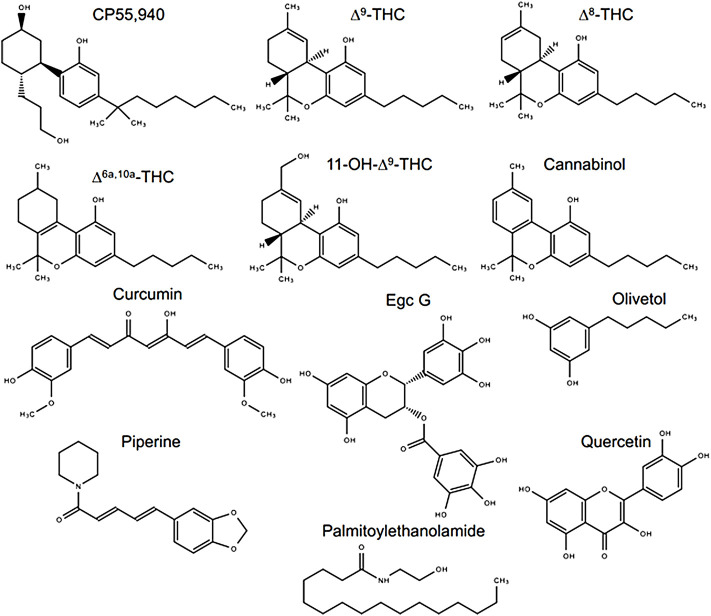 Compounds assessed in this study. Chemical structures were drawn in Microsoft PowerPoint by the authors. Egc G, epigallocatechin gallate.