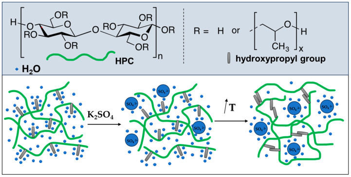 Schematic representation of K2SO4-assisted gelation of HPC in water.