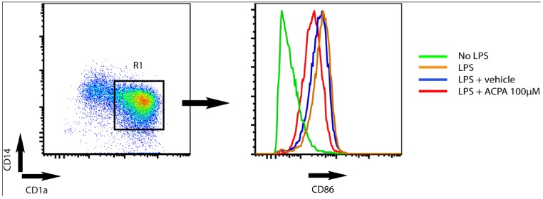 Arachidonylcyclopropylamide (ACPA) reduce LPS-induced upregulation of CD86 surface expression in human monocytes derived DC. The dot plot shows CD1a and CD14 expression on human monocyte derived DC (left). DC were defined as cells being positive for CD1a (CD1a+) and negative for CD14- (CD14-). The histogram (right) shows CD86 expression on DC (CD1a+CD14-) within the R1 gate. DC were cultured in medium only (green) or stimulated with LPS for 24 hours in the absence (orange) or presence (red) of ACPA or vehicle (blue, diluent of ACPA. Tocrisolve). ACPA was used at 100 μM.