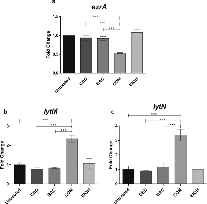 qPCR data of the divisome gene ezrA and autolysis genes lytM and lytN studied upon 2.5 hours treatment with either CBD, BAC, combination, EtOH or left untreated in USA300. Data was obtained using the Roche LightCycler 480 Instrument as described in Methods. Experiments were performed in four biological replicates and Cp values were generated in technical replicates. Statistical analysis was done by one-way ANOVA with Bonferroni’s Multiple Comparison Test. *** is P-values below or equal to 0.001.