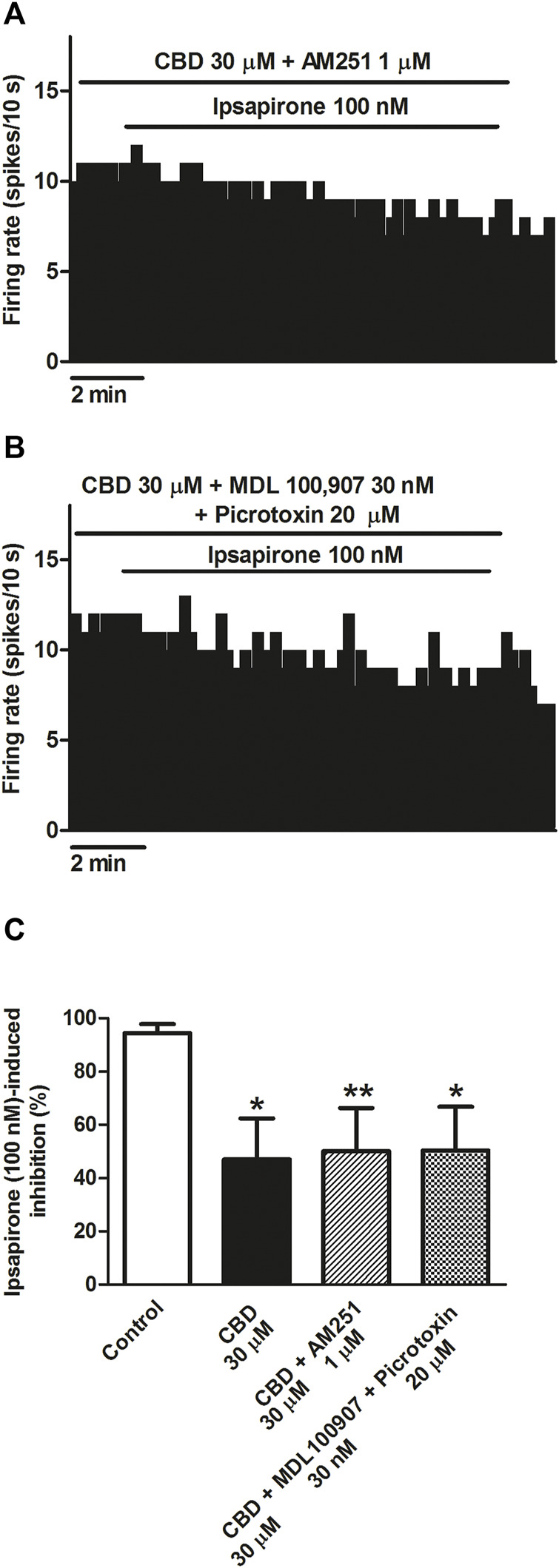 Mechanisms involved in the blockade by CBD of the ipsapirone-induced inhibitory effect on DRN 5-HT cells. (A,B) Representative examples of firing rate recordings from two DRN 5-HT neurons, which represent the effect of CBD on the ipsapirone (100 nM)-induced inhibition in the presence of the CB1 receptor antagonist AM251 (1 μM) (A) or in the presence of the GABAA receptor antagonist picrotoxin (20 μM) and the 5-HT2A receptor antagonist MDL100907 (30 nM) (B). (C) Bar histograms showing the percentage of inhibition from the basal firing rate (mean ± SEM) induced by ipsapirone (100 nM) in the absence (n = 13) and presence of CBD (30 μM, n = 10), CBD (30 μM) + AM251 (1 µM) (n = 9) and CBD (30 μM) + MDL100907 (30 nM) + picrotoxin (20 μM) (n = 9). *p < 0.05, **p < 0.01 compared with ipsapirone (100 nM) group (control) by unpaired Student’s t-test.