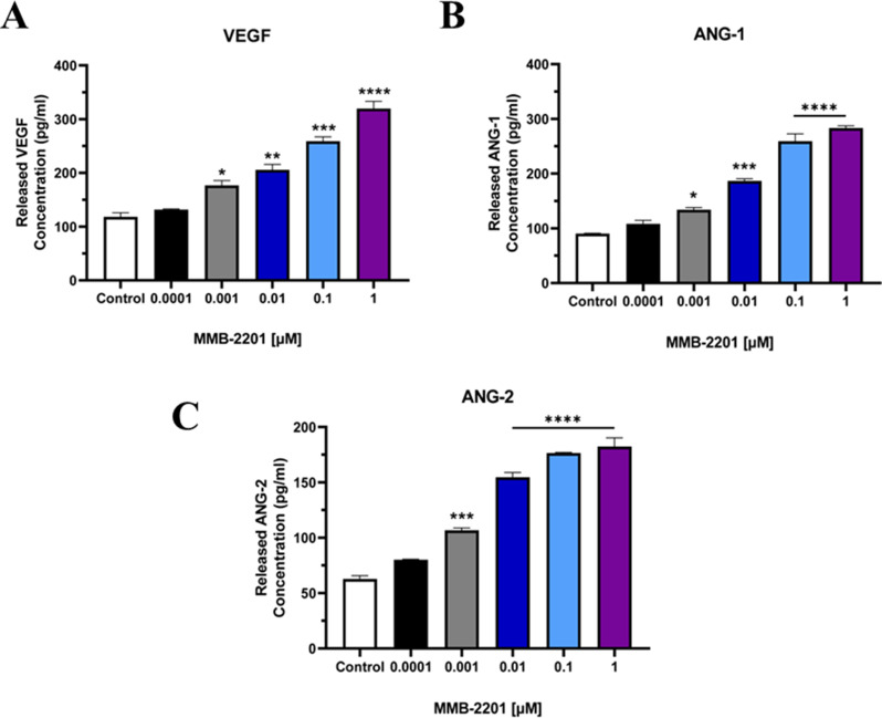 The synthetic cannabinoid MMB-2201 increased the release of VEGF, ANG-1, and ANG-2 from endothelial cells. VEGF, ANG-1, and ANG-2 release from HBEC-5i was investigated using ELISA. The release of these proteins was significantly increased at different concentrations of MMB-2201. Data are presented as mean ± SEM (n = 3). (*) indicates p < 0.05. (**) indicates p < 0.01. (***) indicates p < 0.001. (****) indicates p < 0.0001