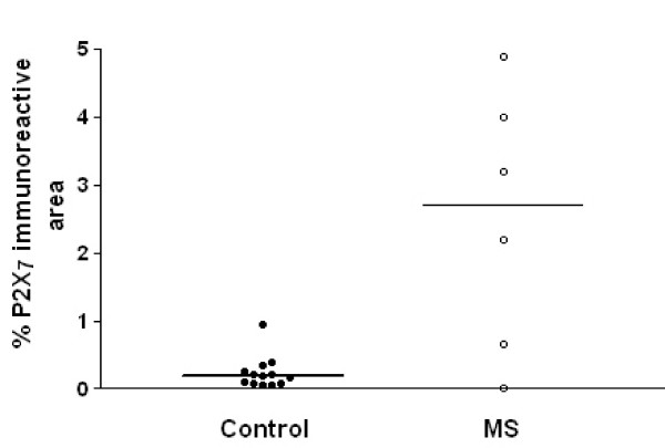 P2X7 immunoreactivity is increased in MS spinal cord. Mean % area of P2X7 immunoreactivity taken from control and MS spinal cord using computerized image analysis. A horizontal line indicates the median value for each group.