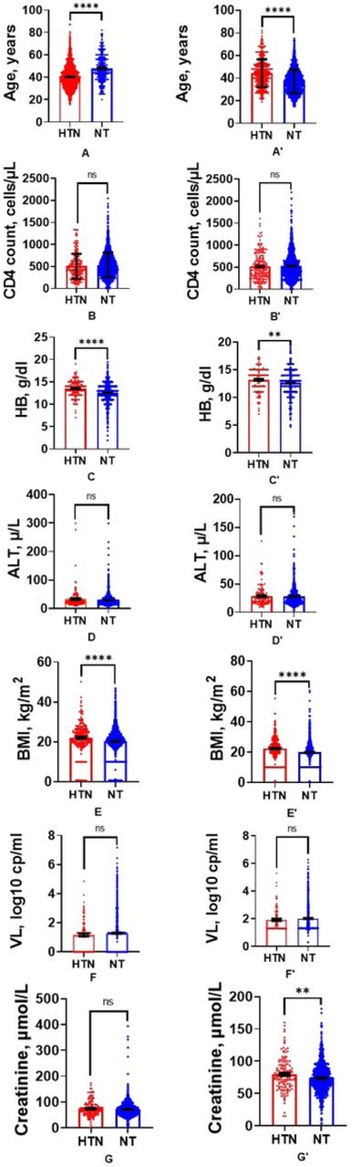 Laboratory and clinical parameters of Hypertensive and normotensives for both before and after test and treat policy.A. Age of hypertensive (n= 258) and normotensives (n= 2662) in before test and A’) hypertensive (n= 355) and normotensives (n= 3134) in the after test and treat cohort. B. CD4 count of hypertensive (n= 203) and normotensives (n= 2042) in before test and B’) hypertensive (n= 196) and normotensives (n= 1280) after test and treat. C. HB of hypertensive (n= 151) and normotensives (n= 920) in before test and treat cohort and C’) hypertensive (n= 157) and normotensives (n= 1608) in the after test and treat cohort. D. ALT of hypertensive (n= 131) and normotensives (n= 781) in before test and treat and D’) hypertensive (n= 144) and normotensives (n= 1396) after test and treat. E. BMI of hypertensive (n= 257) and normotensives (n= 2659) in before test cohort and E’) hypertensive (n= 335) and normotensives (n= 2878) after test and treat. F. Viral Load of hypertensive (n= 107) and normotensives (n= 846) in before test and treat and F’) hypertensive (n= 112) and normotensives (n= 1100) after test and treat. G. Plasma creatinine of hypertensive (n= 156) and normotensives (n= 1459) in before test and treat cohort and G’) hypertensive (n= 147) and normotensives (n= 826) after test and treat. (n= 1071). *p<0.05; **p<0.01; ****p<0.001; ns, p>0.05.