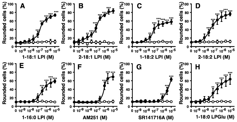 Effects of various species of LPI and related molecules on cell morphology in HEK293 cells stably expressing GPR55. Vector-transfected cells (open circle) or GPR55-expressing cells (closed circle) were challenged with various concentrations of 1-oleoyl LPI (A), 2-oleoyl LPI (B), 1-linoleoyl LPI (C), 2-linoleoyl LPI (D), 1-palmitoyl LPI (E), AM251 (F), SR141716A (G), or 1-stearoyl LPGlu (H) at 37 °C for 5 min. After treatment, images of cells were obtained, and cell rounding was analyzed. Statistical analyses were performed with one-way analysis of variance (ANOVA), followed by Dunnett’s multiple comparison test. The values are means ± SDs of five determinations. * p < 0.05, ** p < 0.01, and *** p < 0.001 versus values with vehicle alone (n = 5).