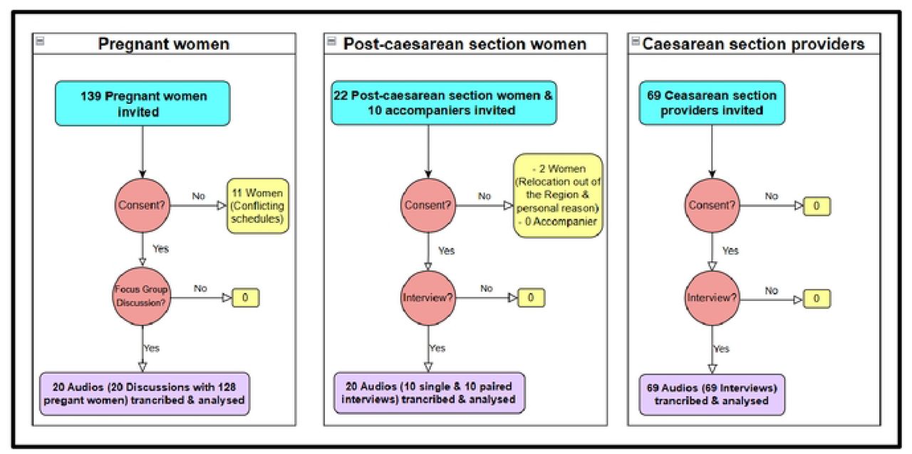 Flow diagram: inclusion of participants.