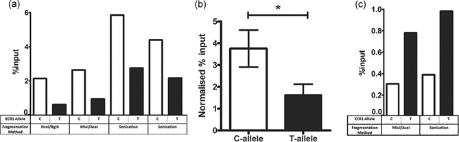 The C‐allele of ECR1 binds the c‐jun protein with higher affinity than the T‐allele. (a) Bar graph demonstrating the results of four separate ChIP assays performed on cross linked chromatin from primary hippocampal cells magnetofected with vectors containing either the ECR(C) and ECR1(T) allelic variants. Before immunoprecipitation with c‐JUN chromatin was fragmented by endonuclease digestion (NcoI/BglII or MluI/AseI) or sonication. All values have been normalized against the immunoglobulin G (IgG) immunoprecipitation signal and displayed as a percentage of the input signal. (b) Statistical analysis (two‐tailed unpaired t test) of all of the ChIP assays displayed in (a) demonstrating the relative levels of quantitative polymerase chain reaction signals received from DNA immunoprecipitated using the anti‐c‐JUN antibody. (c) Bar graph demonstrating the results of two separate ChIP assays carried out as described above but using an anti‐CTCF antibody. Values have been normalized against IgG controls and displayed as a proportion of input DNA (error bars = SDM; *p < .05). SDM, standard deviation of the mean