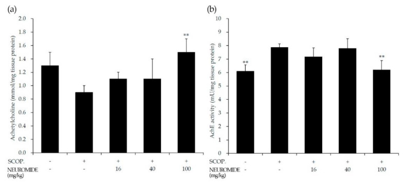 Effect of NEUROMIDE on acetylcholine and acetylcholine esterase activity in brain tissue of scopolamine-treated mice, as determined by measurements of (a) acetylcholine content and (b) acetylcholine esterase activity in the forebrain. SCOP: scopolamine. The values are means + SE, n = 7. Significant difference based on comparison with the group treated with scopolamine only, as determined by independent t-test: ** p < 0.01.