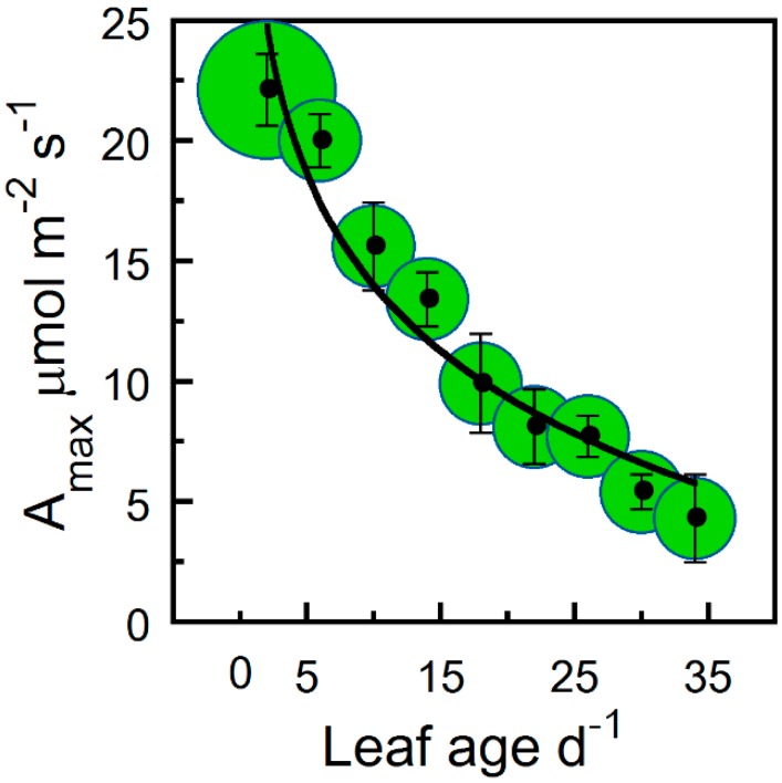 Maximum photosynthesis (Amax) at crown layer 3 (the lowest crown position) of hemp leaves as a function of leaf age. Binned averages per three-day collection sequence (means ± SE), where samples were pooled for treatments and crown position. Sample size in bins indicated by bubble diameter (n = 3–18 for Amax). Solid line is a logarithmic regression curve fitted to the leaf age data set.