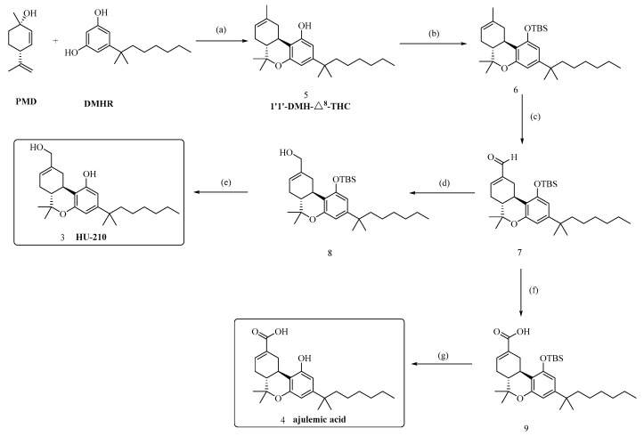 Synthesis of AJA and HU-210. Reagents and conditions: (a) 1. p-TSA, toluene; 80 °C for 1 h; yield of 82%. (b) TBSCl, imidazole and N,N-dimethylformamide (DMF); room temperature for overnight duration; yield of 97%; (c) SeO2, dioxane; 110 °C for 1 h; yield of 65%. (d) NaBH4 and MeOH; 0 °C for 50 min; yield of 89%. (e) TBAF and THF; room temperature for 2 h; yield of 93%; (f) NaClO2, NaH2PO4, 2-methyl-2-butene, t-BuOH and H2O (4:1); room temperature for 1 h; yield of 90%; (g) TBAF and THF; room temperature for 2 h; yield of 92%.