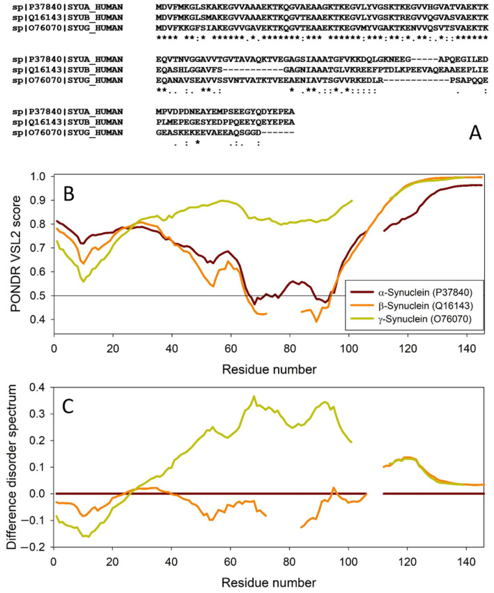 Comparison of amino acid sequences of human α-, β-, and γ-synucleins. (A) Multiple sequence alignment conducted by Clustal Omega using default parameters. An asterisk (*) indicates positions which have a single, fully conserved residue. A colon (:) indicates conservation between groups of strongly similar properties and shows that some sequences in a column have different amino acids, but the amino acids have similar chemical properties. A period (.) indicates conservation between groups of weakly similar properties. A dash (-) indicates a gap in the alignment. (B) Per-residue disorder profiles of human α-, β-, and γ-synucleins generated by PONDR® VSL2. To better represent the peculiarities of the per-residue intrinsic disorder propensity distribution, the scale of Y–axis is extended to cover PONDR® VSL2 scores from 0.34 to 1.0. (C) Difference disorder spectra calculated by subtracting profiles of β- and γ-synucleins from the profiles of human α-synuclein.