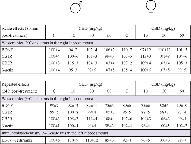 Basal regulation of the potential drug targets evaluated in hippocampal samples of adolescent rats of both sexes treated in adolescence with Cannabidiol (CBD). Doses tested: 10, 30, and 60 mg/kg, ip. Acute effects (30 min post-treatment) and repeated effects (24 h post-treatment). The right hippocampus was used to determine target protein content through Western blot analyses, and the left hippocampus was cryostat-cut and used to quantify the number of Ki-67 + cells per area of dentate gyrus (mm2) as a marker of cell proliferation