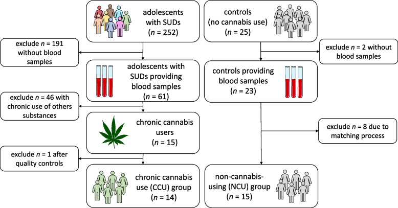 Flow chart* of sample composition for the CCU (chronic cannabis use) group and the control group (non-cannabis-using, NCU). *The Figure was partly generated using Servier Medical Art, provided by Servier, licensed under a Creative Commons Attribution 3.0 unported license