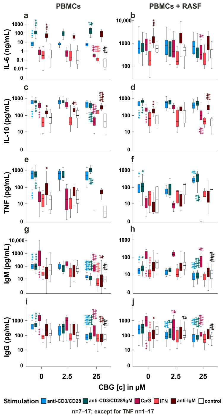 Influence of CBG on IL-6, IL-10, TNF, IgM and IgG production by PBMCs and PBMC/RASF co-cultures. (a–j) PBMCs alone (a,c,g,e,i) or PBMC/RASF co-cultures (b,d,h,j) were activated with anti CD3/CD28 (T cells), anti-CD3/CD28/IgM (T cells and B cells), CpG (B cells), anti-IgM (B cells) or IFN-γ (T cells) and concomitantly stimulated with CBG [2.5 µM or 25 µM] for 7 days in medium with 10% FBS. Thereafter, IL-6 (a,b), IL-10 (c,d), TNF (e,f), IgM (g,h) and IgG (i,j) were determined. Cytokine levels are presented on a logarithmic scale. *** p < 0.001, ** p < 0.01, * p < 0.05 for differences between treatment without CBG. Kruskal-Wallis test with Bonferroni post hoc test was used for comparisons. # p < 0.05, ## p < 0.01, ### p < 0.001 for comparisons of control versus CBG treatment at a given stimulation. Kruskal-Wallis test with Bonferroni post hoc test was used for comparisons.