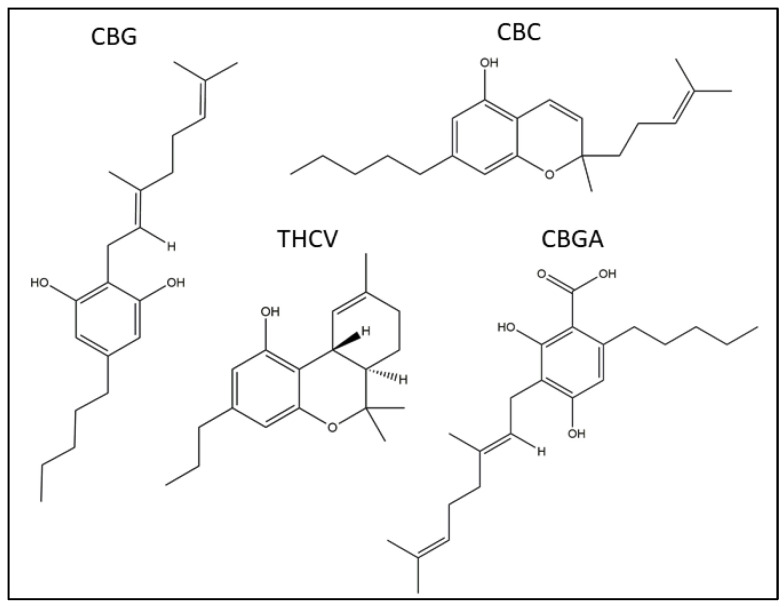 Chemical structures of the four pCBs under study: cannabigerol (CBG), cannabichromene (CBC), Δ9-tetrahydrocannabivarin (THCV) and cannabigerolic acid (CBGA).