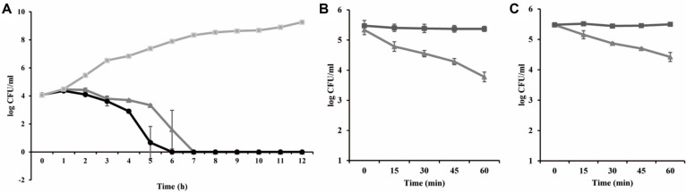 Antibacterial activities of BCP01 and LysBCP01 in food matrices.(A) Antibacterial activity of bacteriophage BCP01 in sterile cabbage artificially contaminated with B. cereus ATCC 14579. BCP01 was applied at MOIs of 10² and 10³, and viable bacterial cells were enumerated over time. Antibacterial activity of LysBCP01 in sterile cabbage (B) and sterilized commercial milk (C) artificially contaminated with B. cereus ATCC 14579. LysBCP01 was applied at final concentrations of 1.1 mg/mL in cabbage and 1.7 mg/ml in milk, and viable bacterial cells were determined at the indicated time points. Error bars indicate standard deviations from triplicate experiments.