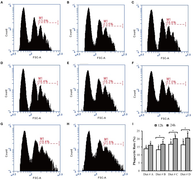 The hemocytes phagocytic rate of E. sinensis fed dietary treatments at 12 and 24 h after A. hydrophila injection. (A) 12 h- Diet # A; (B) 12 h- Diet # B; (C) 12h- Diet # C; (D) 12 h- Diet # D; (E) 24 h- Diet # A; (F) 24 h- Diet # B; (G) 24 h- Diet # C; (H) 24 h- Diet # D; (I) phagocytic rate. The values are expressed as the means ± SD (n = 6). Different letters placed above the column represent the significant differences between different groups at the same time (P<0.05).