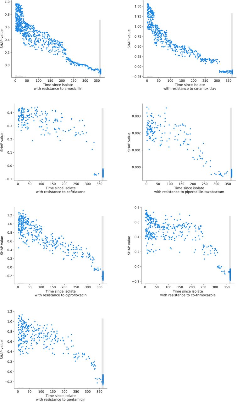 SHAP (SHapley Additive exPlanations) plots showing the time since last resistant isolate and impact on model output for predicting resistance to the same antibiotic at blood culture sampling.Where no resistant isolate was seen in the last year, the value is set to 365, hence when interpreting change over time values exactly equal to 365 days should be ignored. The grey histogram indicates the relative frequency of each observation on the x-axis. The spread of blue points arises from other features also influencing the SHAP value on the y-axis.