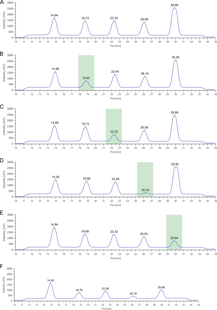 Fluorescence intensity profiles for the four drug panel lateral flow assay: Peaks due to the control (HAM), THC, BZE, MOR and AMP are at 14.8, 18.7, 22.3, 26 and 29.8 mm, respectively. (A) No spike, just buffer only, (B) 240 pg THC spike, (C) 90 pg BZE spike, (D) 70 pg MOR spike, (E) 190 pg AMP spike and (F) A combined spike showing signal decrease of all four peaks associated with the four drugs.