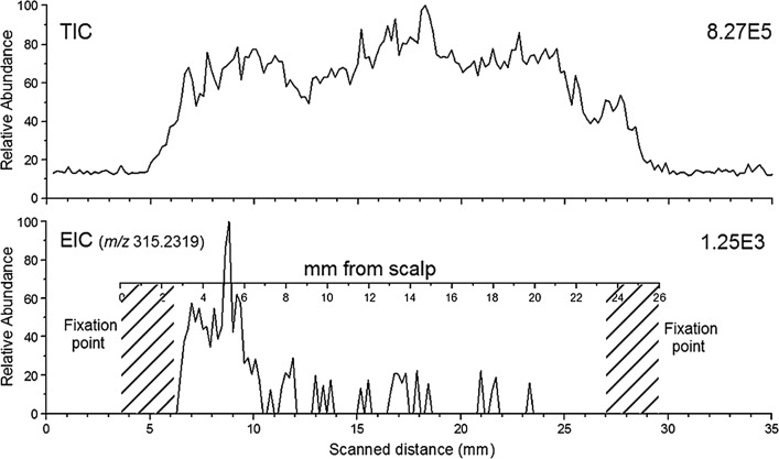 TIC and EIC of m/z 315.2319 from a DART hair scan (scan rate = 0.2 mm/s) of a cannabis user hair sample(reproduced with permission from John Wiley and Sons, reference, [88])