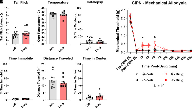 Cannabidivarin is not cannabimimetic but has very low efficacy CIPN antinociception in females. All data are shown as the mean ± S.E.M. Female (open symbol) and male (closed symbol) mice were given CBDV (red square) or vehicle (black circle) (100mg/kg, IP). (A) Data for male and female mice were pooled due to a lack of observed sex differences. Naïve female (open symbol) and male (closed symbol) mice were injected with CBDV or vehicle before undergoing the cannabimimetic behavior tetrad outlined in Methods. The statistics were analyzed via an unpaired, two-tailed Student’s t-test; P > 0.05. N = 10 mice/group. (B) Female (open symbols and filled line) and male (closed symbols and dashed line) mice had CIPN induced as outlined in our methods. N = 10 mice/group. Significant differences were determined via two-way ANOVA with Tukey’s post hoc test. * P < 0.05 versus female vehicle group and # = P < 0.05 versus male CBDV group. BL, baseline.