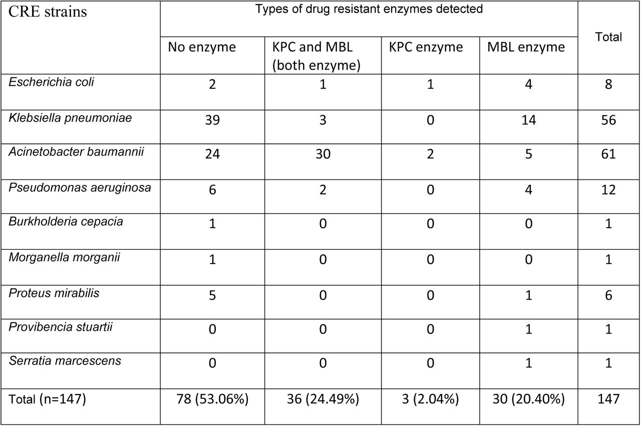 Crosstabulation analysis KPC and MBL enzymes profiles of various gram-negative strains (n=147).Interaction status of CRE strains to profile KPC and MBL drug-resistant enzymes among various gram-negative bacteria, including Escherichia coli, Klebsiella pneumoniae, Acinetobacter baumannii, Pseudomonas aeruginosa, Burkholderia cepacia, Morganella morganii, Proteus mirabilis, Providencia stuartii, and Serratia marcescens were examined.