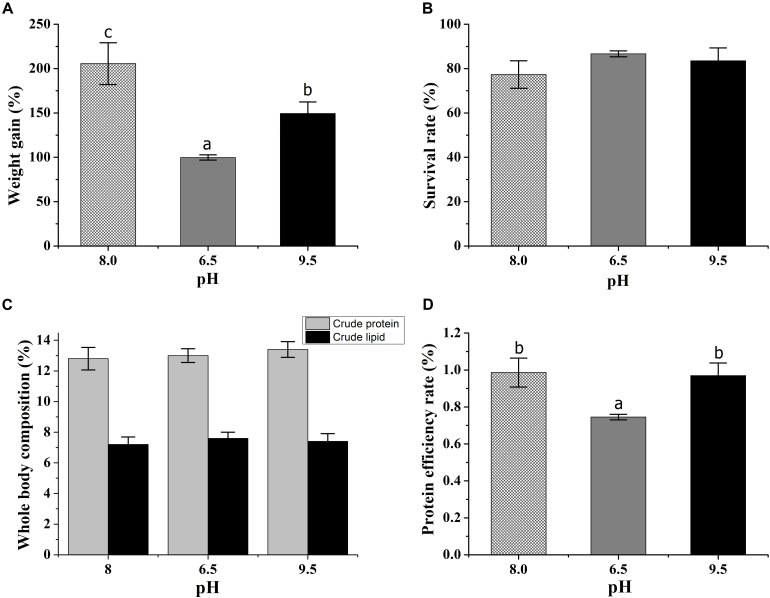 Effects of acidic and alkaline stress on the weight gain (A), survival rate (B), whole-body composition (C), and protein efficiency rate (D) of E. sinensis. The results were presented as mean ± SE and different lowercase letters mean significant differences by Duncan’s test (P < 0.05).