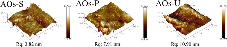 Atomic force microscope images of the coatings produced by artificial oleosomes (AOs). AOs-S: AOs coatings fabricated by high-speed shearing; AOs-P: AOs coatings fabricated by high-pressure homogenization; AOs-U: AOs coatings fabricated by ultrasonication.