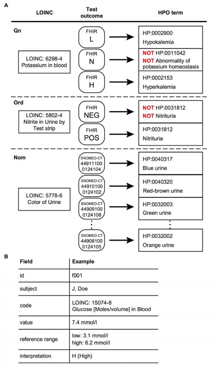 Semantic integration of LOINC-coded laboratory tests in FHIR into HPO terms. A. Representative examples of LOINC to HPO mapping. Potassium in blood, a quantitative (Qn) LOINC test, has three potential outcomes, L (lower than normal), N (normal) and H (higher than normal) and is mapped to three corresponding HPO terms. Presence of nitrite in urine, an ordinal (Ord) test, has two possible outcomes, POS (positive) or NEG (negative) and is mapped to either Nitrituria (HP:0031812) or NOT Nitrituria (HP:0031812), respectively. Color of urine, a nominal (Nom) test, has a list of likely outcomes (represented as Systematized Nomenclature of Medicine-Clinical Terms (SNOMED-CT) codes) and each one is mapped to an HPO term. B. Schematic representation of the relevant contents of a FHIR observation for laboratory tests. Each FHIR Observation resource for a LOINC-encoded laboratory test includes an identifier (id) and the name of the patient, the LOINC code and name, the normal reference range and the observed value as well as an interpretation of the result (see Table 1 for a complete list).