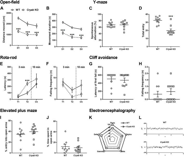 General behavior of wild-type (WT) and Cryab knockout (KO) mice. At 5–7 weeks old, pups were tested for their baseline behaviors. The open-field test shows the locomotor activity indicated by (A) distance moved (cm) and (B) movement duration (s) recorded for 10 min over three consecutive days. Y-maze indicates short-term memory in terms of (C) spontaneous alternating behavior (%) and (D) total entries. Latency of first fall (s) and falling frequency (n) in the (E,F) rota-rod and (G,H) cliff avoidance tests determine motor balance/coordination and impulsive tendencies, respectively. Anxiety is measured by the (I) percentage entry (%) and (J) percentage time spent (%) in the open arms in the elevated maze plus test. (K) Baseline electroencephalogram (EEG) results reveals the power of delta, theta, alpha, beta, and gamma in mice, recorded for 2 h (drug-free). (L) Sample EEG traces shows a 2-s activity during a 2-h recording. Data expressed as mean ± S.E.M., except (K) and (L). n = 9–10. ***p < 0.001 (vs. WT; Bonferroni post hoc analysis or t-test).