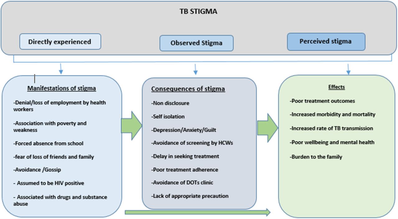 TB stigma index survey conceptual framework (Adapted from Turan & Nyblade) (20)
