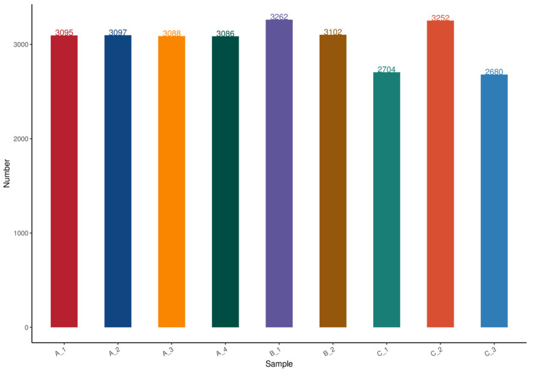 Overview of sample protein identification. The horizontal coordinate is the sample name, while the vertical coordinate is the number of proteins.