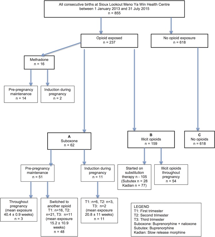 Patient flow chart.