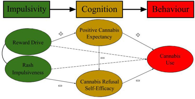 bioSocial Cognitive Theory (bSCT) of Cannabis Use.