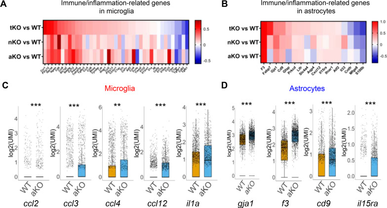 Differentially expressed immune- and inflammation-related genes (IGs) in microglia (A) and astrocytes (B) from MAGL tKO, nKO, and aKO mice. C, D Representative IGs differentially expressed in microglia and astrocytes from aKO mice. **P < 0.01, ***P < 0.001 compared with WT mice