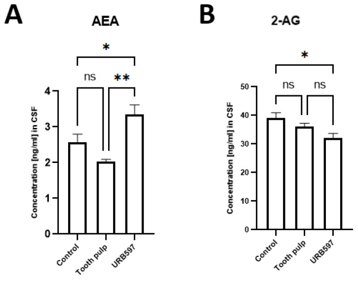 Comparison of the (A) AEA and (B) 2-AG concentrations in the CSF in controls and after tooth pulp and URB597 treatment. The data represent the mean ± SEM of 6 rats per group. Statistical significance was assessed using one-way ANOVA and a post hoc multiple-comparison Tukey test. Asterisks denote the significance level (* p < 0.05, ** p < 0.01, ns—not statistically significant).