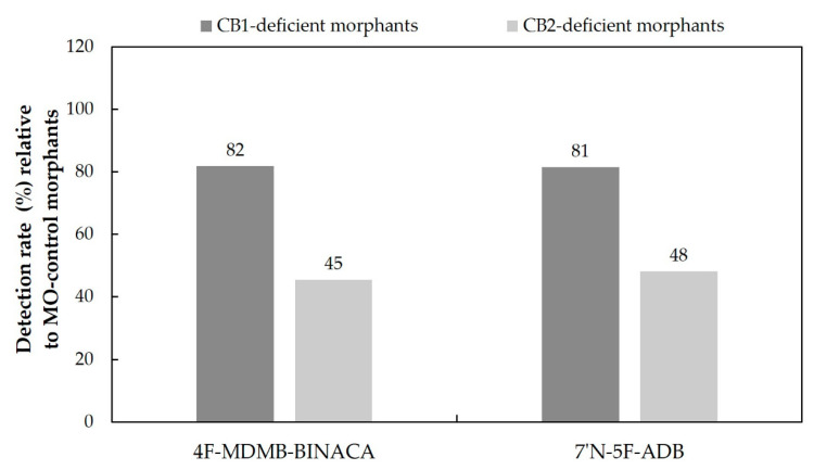 Comparison of the overall detection rates of phase I and phase II metabolites produced in CB1-deficient and CB2-deficient ZF larvae after waterborne exposure to 25 µM 4F-MDMB-BINACA and 50 µM 7′N-5F-ADB, respectively (n = 3). The detection rates were calculated based on the number of metabolites found in the respective control population (set to 100%).