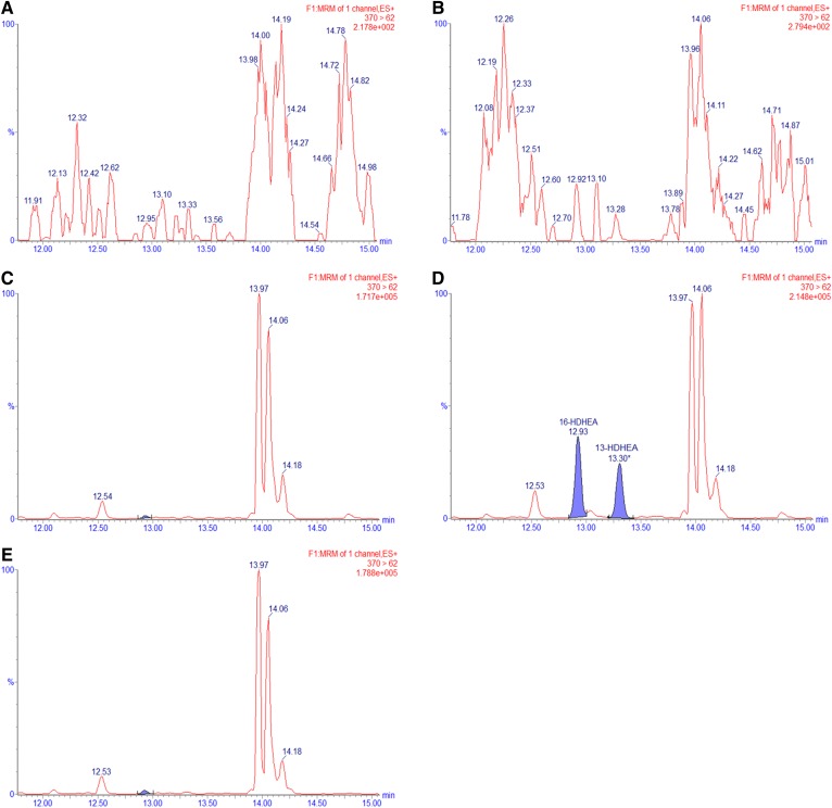 MRM chromatograms of m/z = 370 > 62 for the RAW264.7 macrophage extracts after 24 h of incubation. The macrophage cells were treated with a vehicle control (EtOH, PBS, and DMSO) (A), 1.0 μg/ml LPS (B), 10 μM of DHEA (C), 1.0 μg/ml LPS and 10 μM of DHEA (D), or 0.3 μM of celecoxib, 1.0 μg/ml LPS, and 10 μM of DHEA (E).
