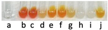 molecules-31-00796-i006.jpg