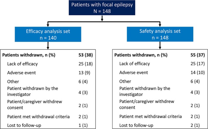 Disposition of patients with focal epilepsy in the Expanded Access Program.