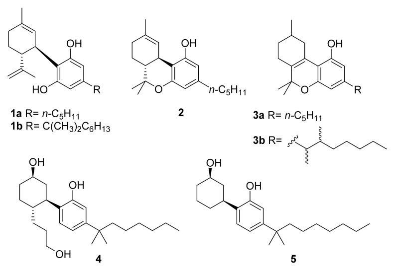 Structures of CBD (1a), its α,α-dimethylheptyl analogue (1b), Δ9-THC (2), Δ6a,10a THC (3a), pyrahexyl (3b), CP-55.940 (4), and cannabicyclohexanol (5).