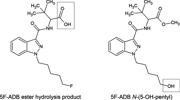 Structures of considered 5F-ADB metabolites in this case: the 5F-ADB ester hydrolysis product (“metabolite M2”, on the left) and the 5F-ADB N-(5-OH-pentyl) (“metabolite M7”, on the right)