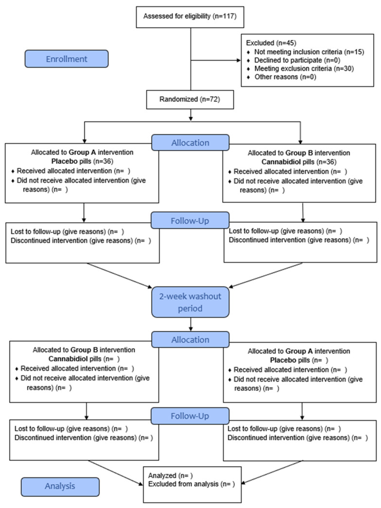 CONSORT flow diagram.