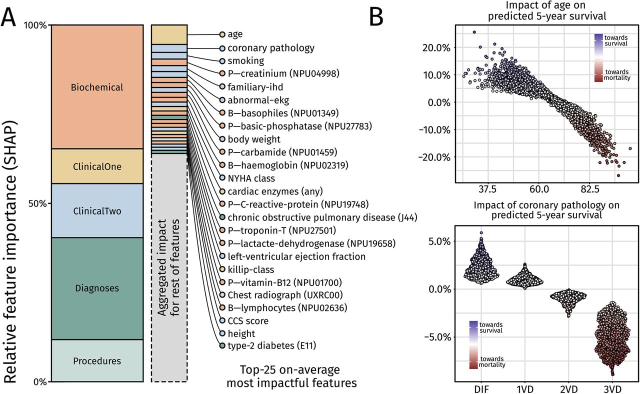 Overview of feature importanceSummary of the results from SHAP analysis on the model predictions at five years on patients in the Danish test set. A) Left: Relative feature importance aggregated across the five different feature categories. Biochemical test results and diagnoses were found to affect the model prediction the most. Right: Relative feature importance for all singular features included in the model. Features arranged according to SHAP-values and labels are included for the top 25-most impactful features. Color of features correspond to the feature category in which they belong. SHAP: SHapley Additive exPlanations. B) Relationship between age and SHAP-value with each point showing the SHAP-value for age for a patient in the test-set, and relationship between coronary pathology (e.g. vessel status) and impact on model prediction.