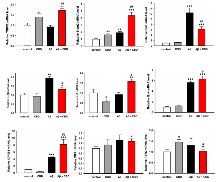 Relative mRNA levels of microglial phagocytic receptors and inflammation factors in the microglia cells treated with or without CBD (5 μM). Primary microglial cells were treated with or without CBD after 12 h, and the mRNA levels were determined through qPCR. The data are represented as the mean ± SEM (n = 6). * p < 0.05, ** p < 0.01, and *** p < 0.001 are compared with the control by Tukey’s test; # p < 0.05 and ## p < 0.01 are between Aβ and CBD + Aβ by Student’s t-test.