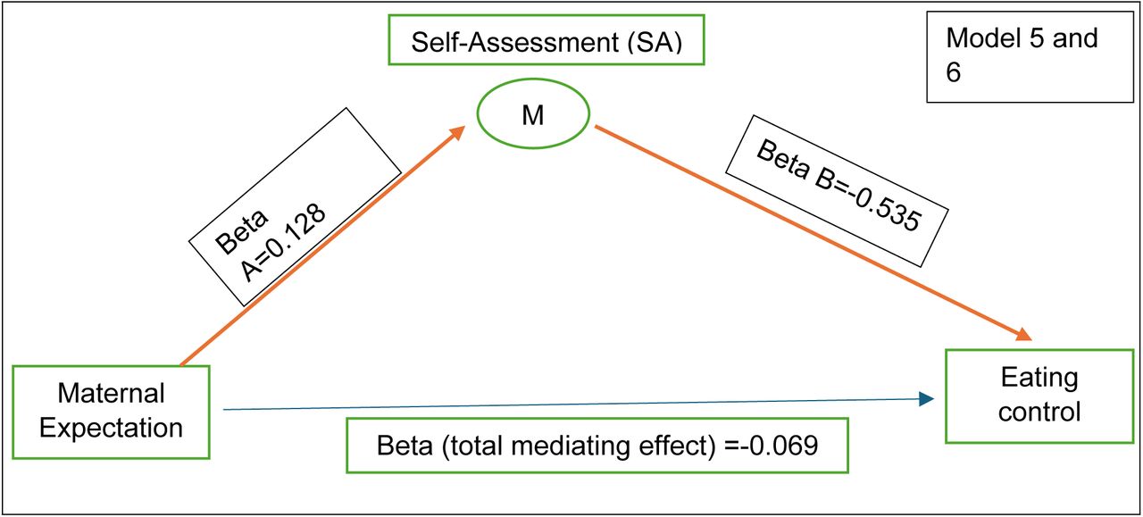 Mediating effect of Self-Assessment (SA) dimension on eating control in terms of maternal expectations (Red bold arrows illustrate the significant relationships)