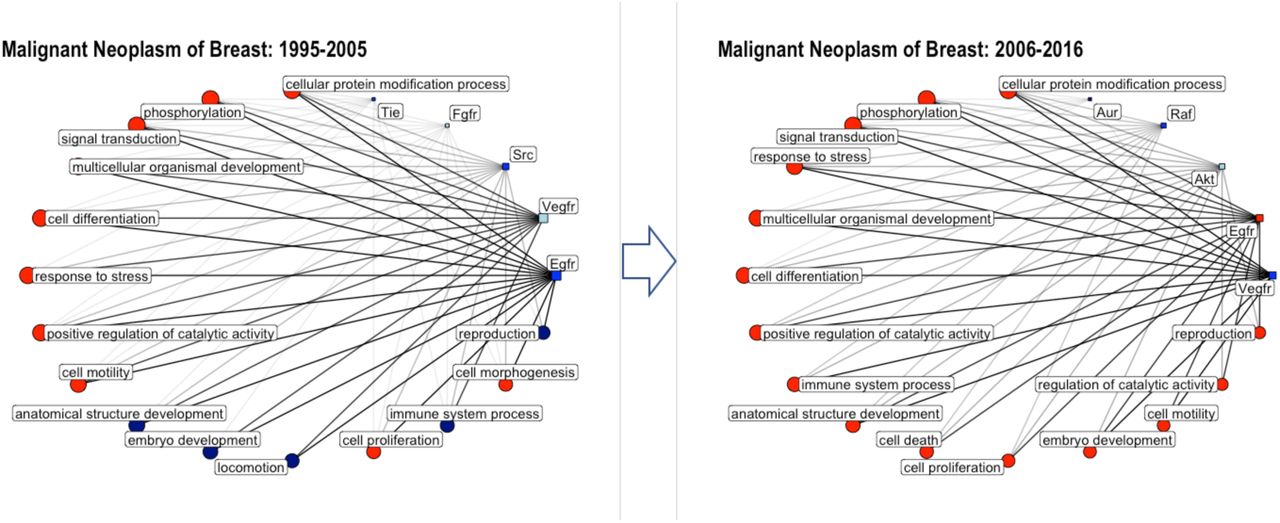Network graphs showing the connectivity of kinases and GO biological process annotations annotated to the disease “malignant neoplasm of breast” for the time periods 1995-2005 and 2006-2016. Circles correspond to GO biological process annotations; squares correspond to protein classes; only the top 5 target classes and top 15 GO terms are shown (with respect to percentage of total bioactivities); the size of the circle/square as well as the thickness of the connecting lines is correlated to the percentage of bioactivities associated with this GO annotation/protein class; the color code is reflecting the number of available drug-efficacy target annotations (light blue: 0; blue: 1-5; navy: 6-10; red >10); Akt: AGC protein kinase AKT family; Aur: Other protein kinase AUR family; Egfr: Tyrosine protein kinase EGFR family; Fgfr: Tyrosine protein kinase FGFR family; Raf: TKL protein kinase RAF family; Src: Tyrosine protein kinase Src family; Tie: Tyrosine protein kinase Tie family; Vegfr: Tyrosine protein kinase VEGFR family.