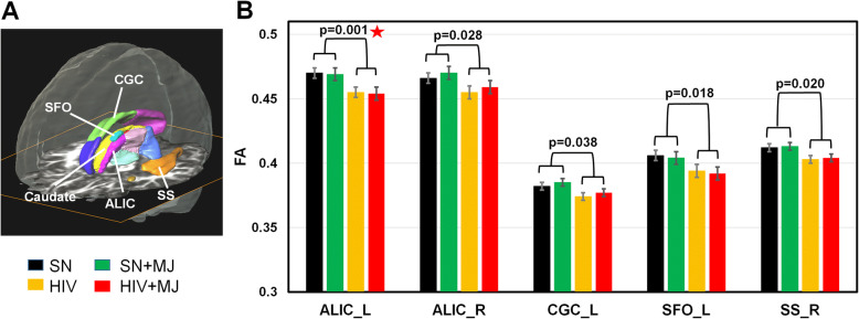 HIV+ participants showed lower regional fractional anisotropy (FA) than SN subjects on DTI. A Regions of interest automatically segmented for the FA measures that showed significant HIV effects are shown relative other structures. B Compared to SN participants, and regardless of MJ use status, HIV+ had lower FA in both right and left anterior limb of internal capsule (ALIC), left cingulate gyrus cingulum (CGC), left superior fronto-occipital fasciculus (SFO), and right sagittal stratum (SS). SN, HIV-seronegative nonuser group; SN + MJ, HIV-seronegative marijuana user group; HIV, HIV-seropositive nonuser group; HIV + MJ, HIV-seropositive marijuana user group. Red star: p value remained significant after Holm-Bonferroni correction for multiple comparisons